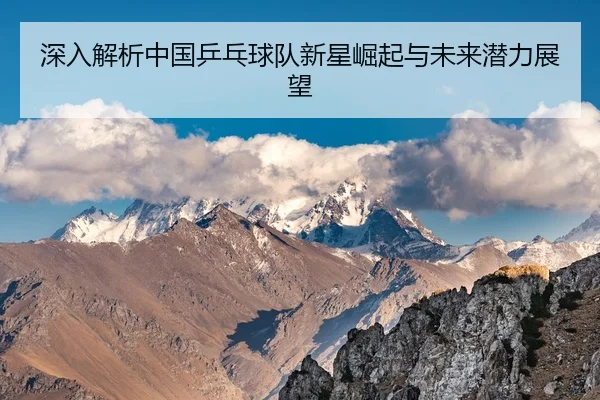 深入解析中国乒乓球队新星崛起与未来潜力展望